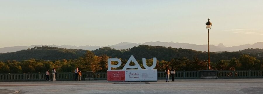 vue depuis le boulevard des Pyrénées à Pau, séjours linguistiques en immersion en France